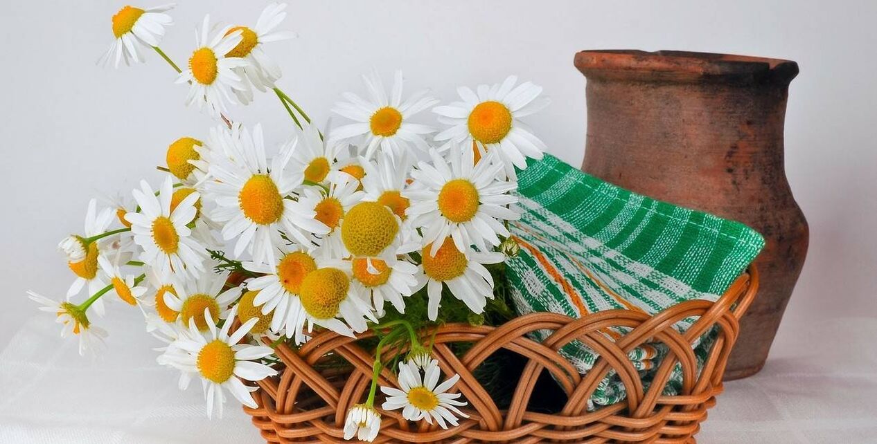 kaip pasidaryti veido toniką iš ramunėlių žiedų